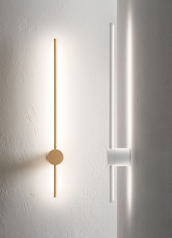 cat_0858_22_HiRes-1160