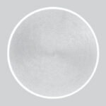 cat_0858_22_HiRes-1207