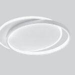 cat_0858_22_HiRes-1281