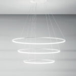 cat_0858_22_HiRes-839