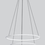 cat_0858_22_HiRes-859