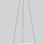 cat_0858_22_HiRes-860