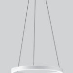 cat_0858_22_HiRes-874