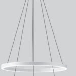 cat_0858_22_HiRes-877