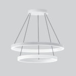 cat_0858_22_HiRes-878