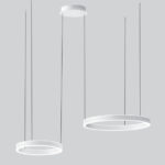 cat_0858_22_HiRes-879