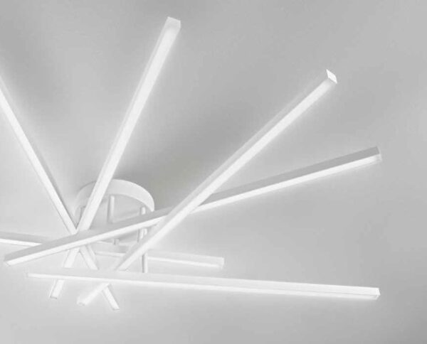 Immagine 2023-01-17 092937